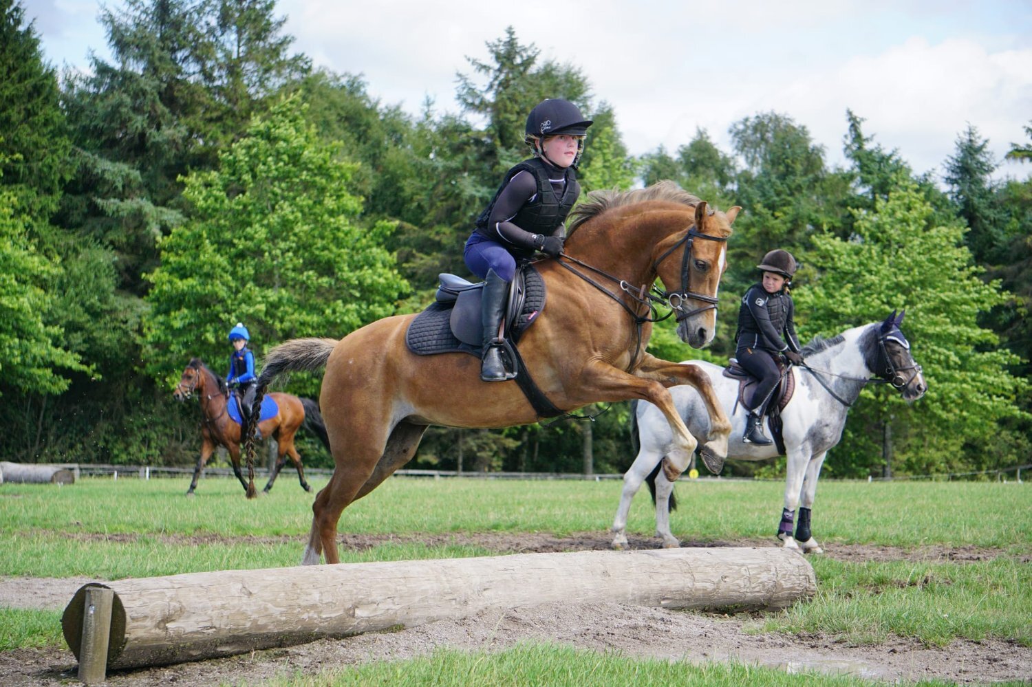 "Wishworthy Clover - Cora" Chestnut Mare All Rounder - 