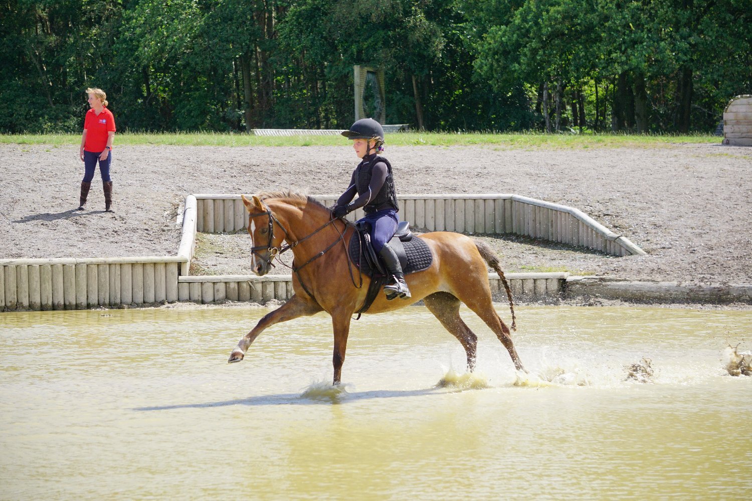 "Wishworthy Clover - Cora" Chestnut Mare All Rounder - All Rounders
