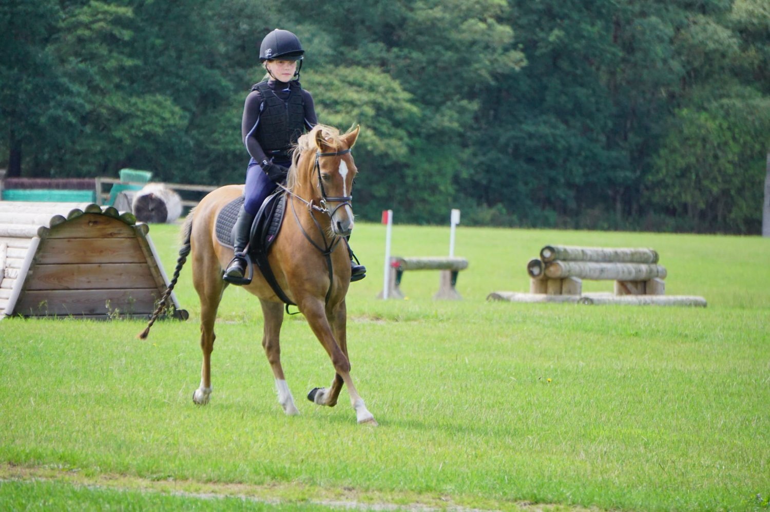 "Wishworthy Clover - Cora" Chestnut Mare All Rounder