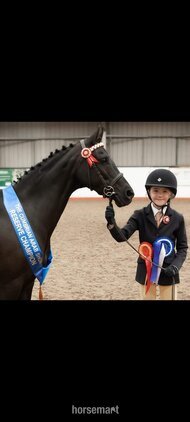 "Radlee careless whisper (Millie)" Black Mare All Rounder