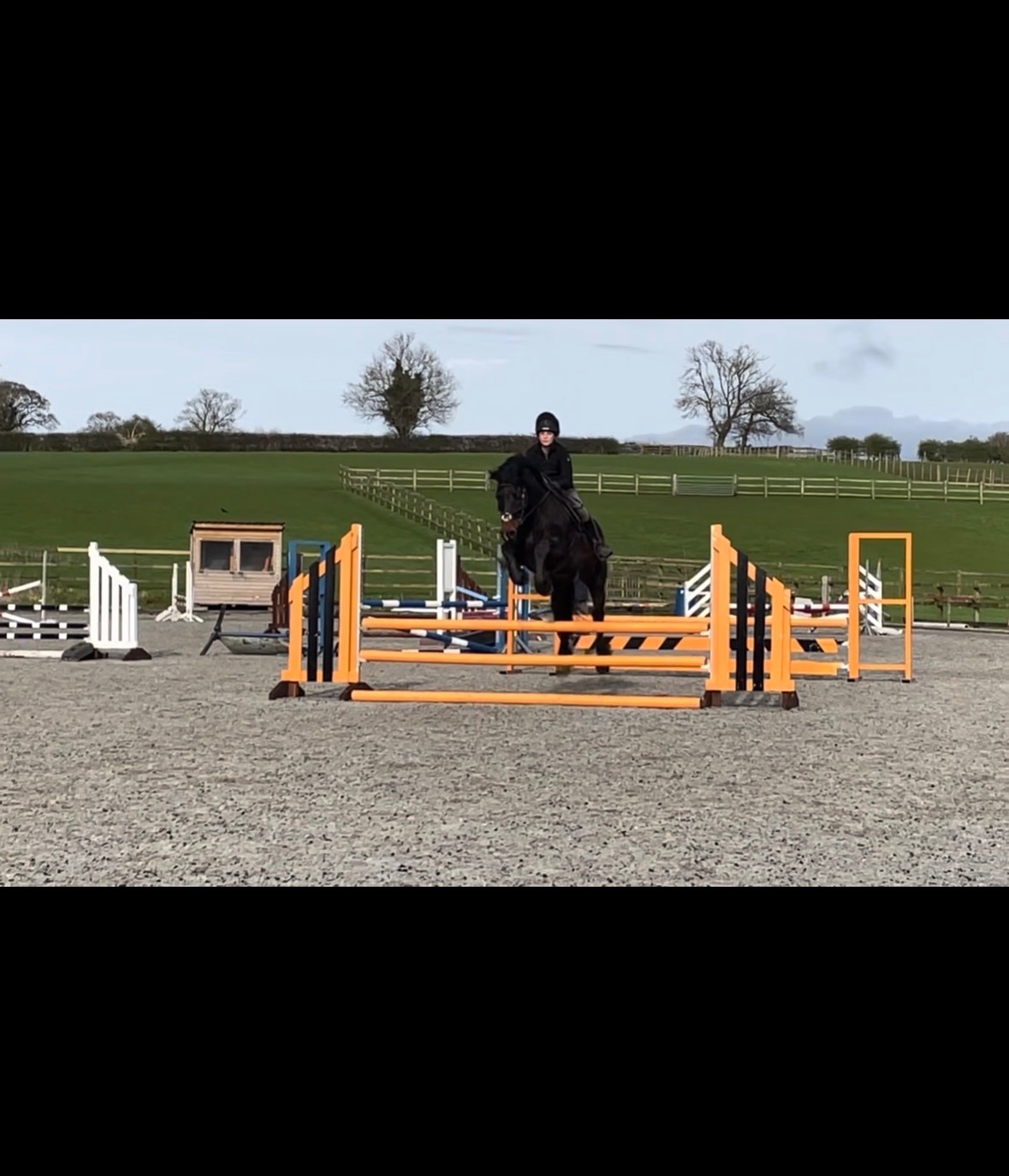 15.1hh Welsh Section D  - Part Loan / Share in 