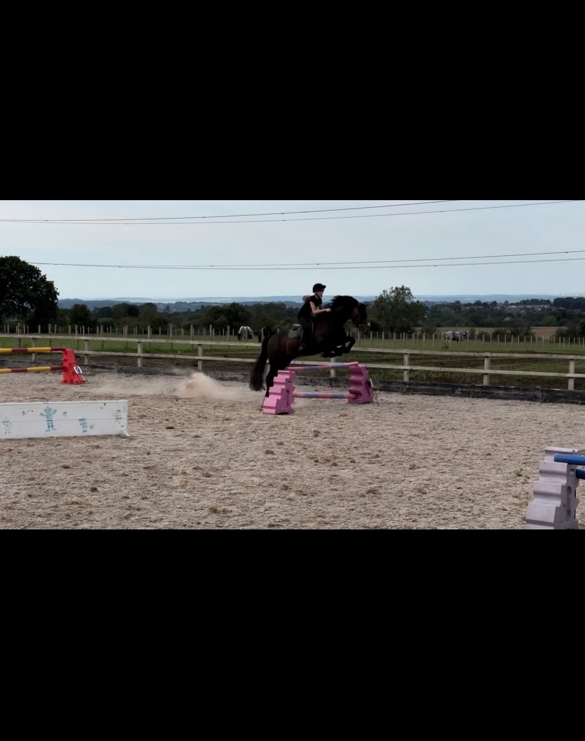 15.1hh Welsh Section D  - Part Loan / Share