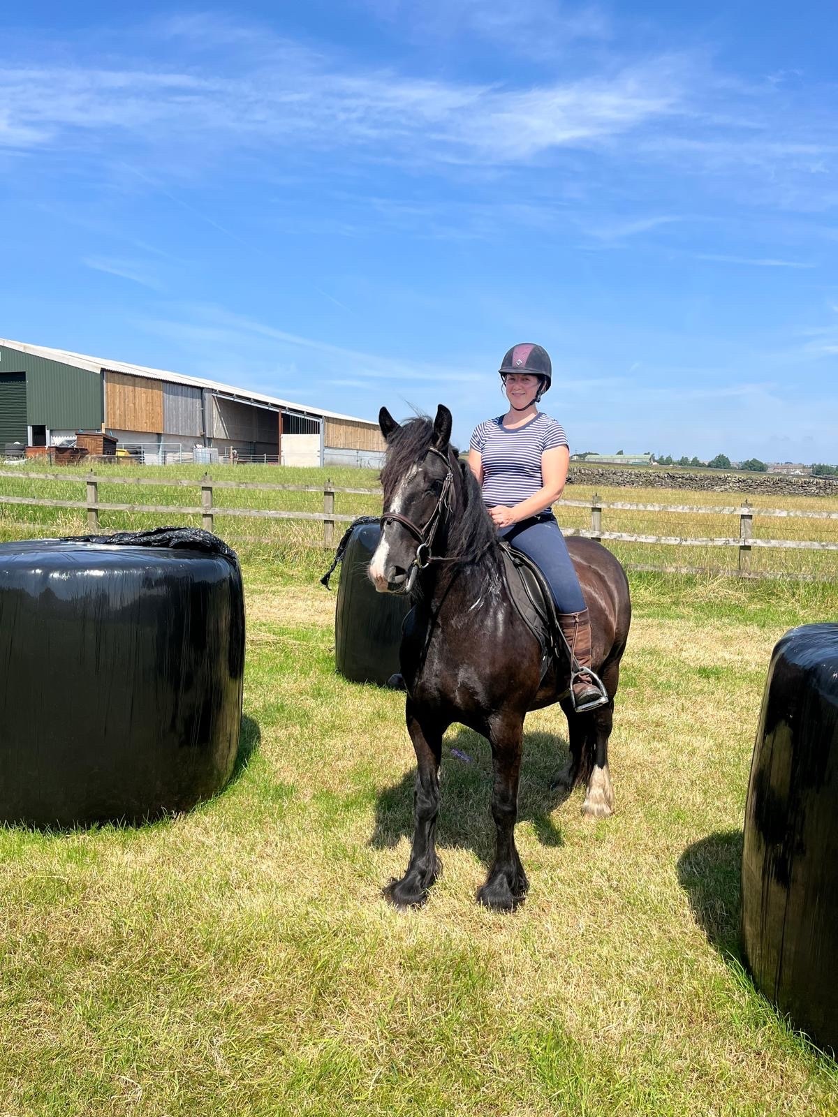 "Rodger" Black Gelding All Rounder