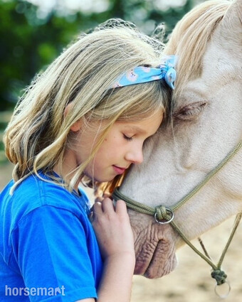 "" Palomino Mare All Rounder