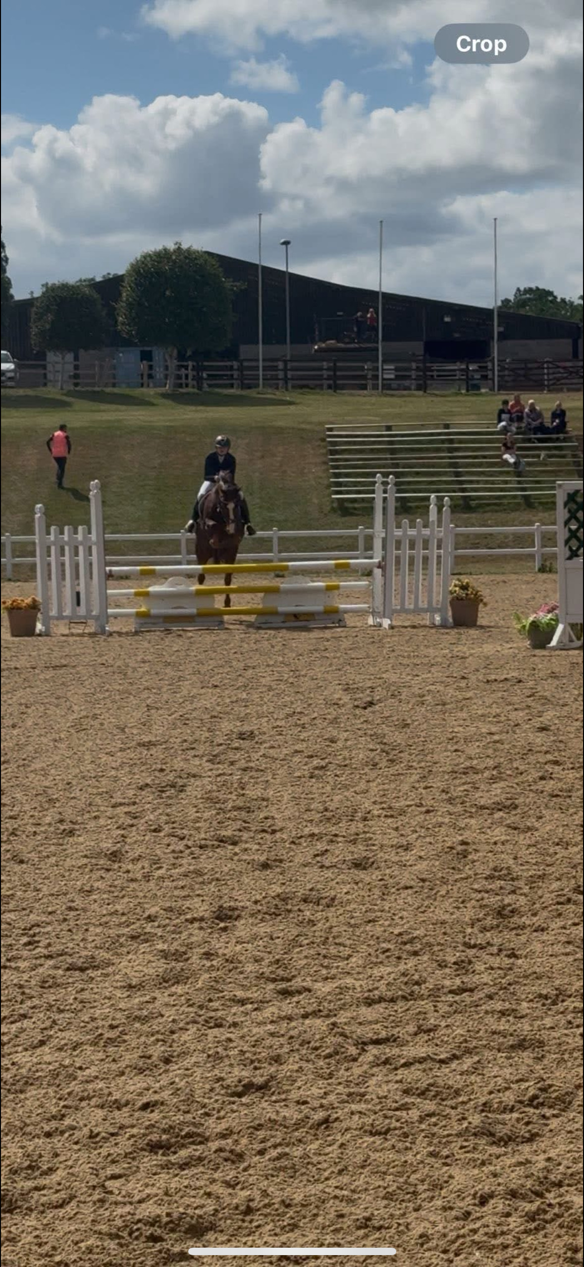 All Rounders  - "Mabeline " Chestnut Mare All Rounder