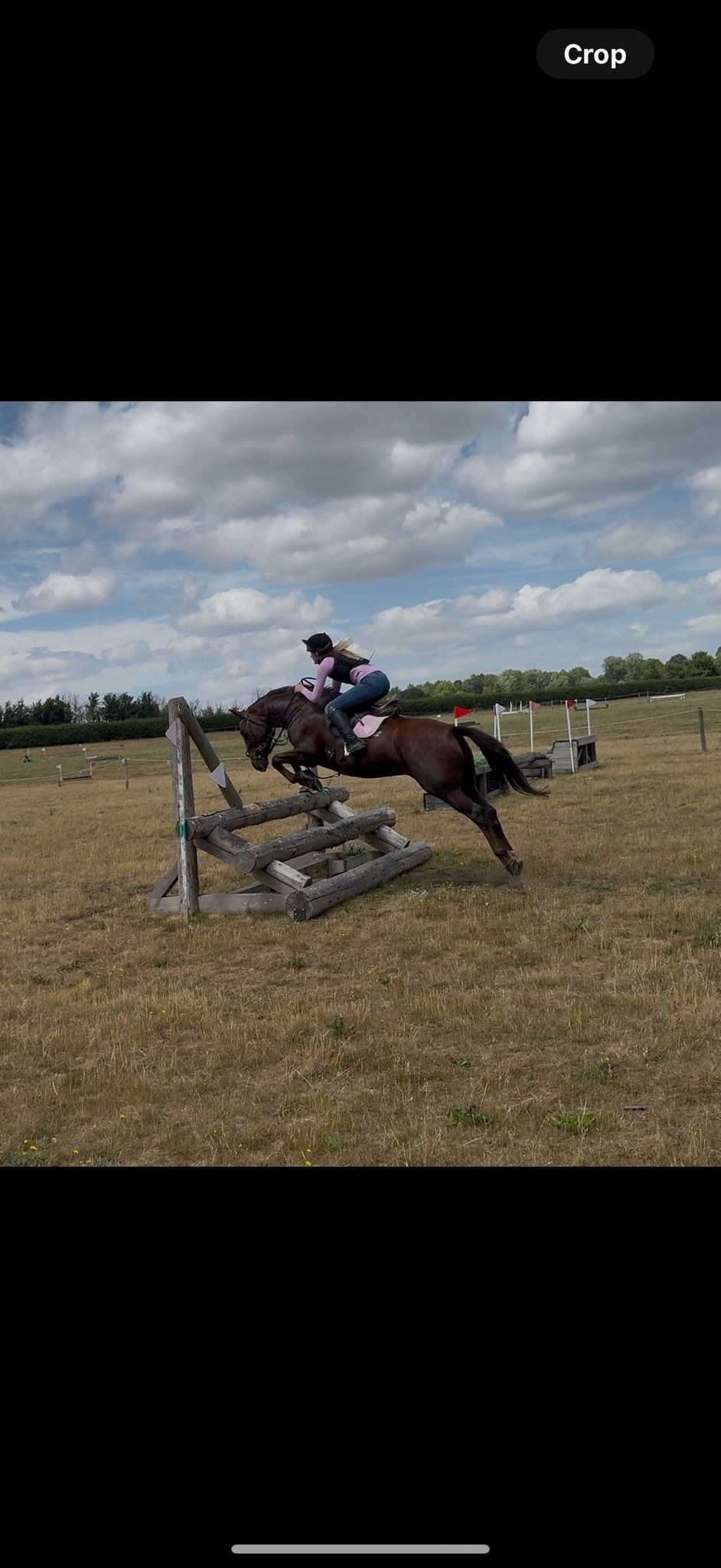 "Mabeline " Chestnut Mare All Rounder - All Rounders