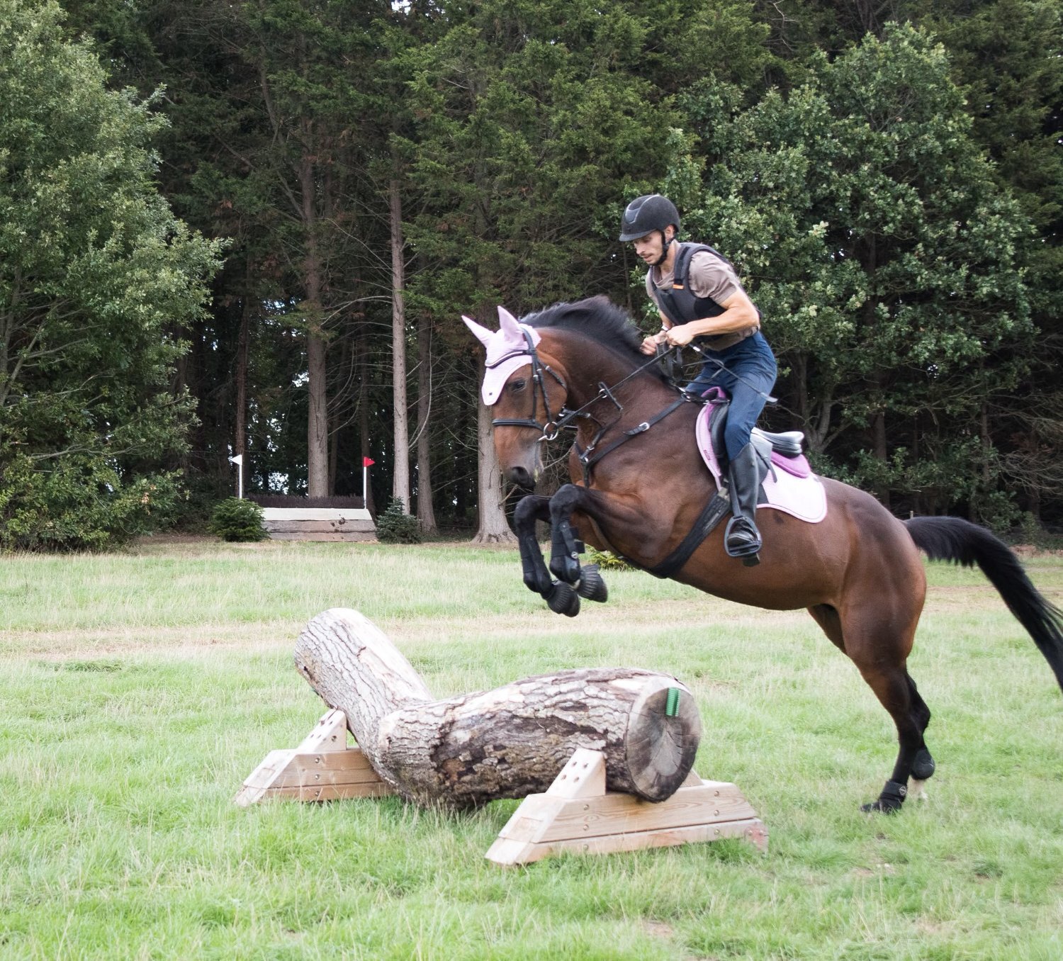 All Rounders  - "Nova " Bay Mare All Rounder