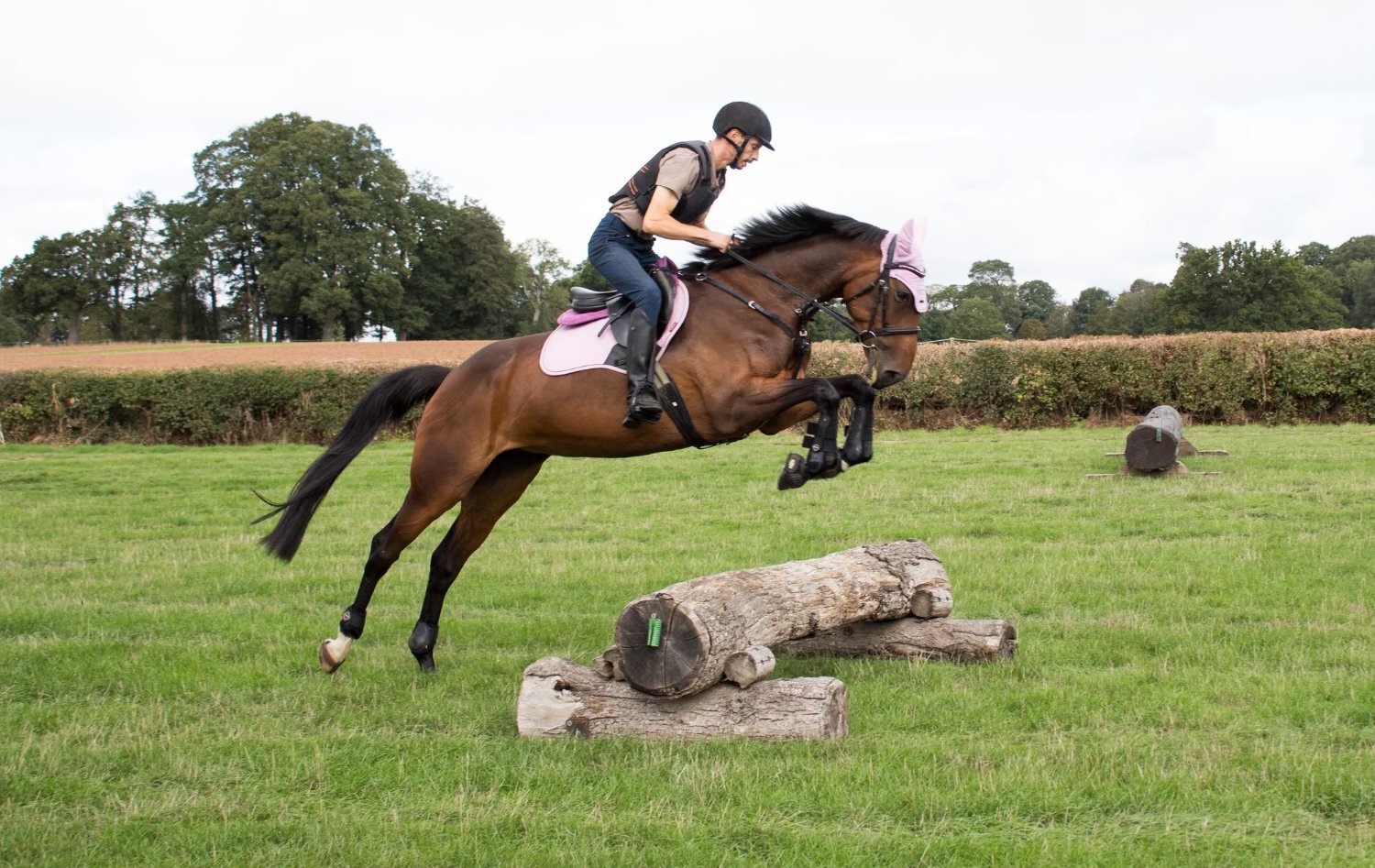 "Nova " Bay Mare All Rounder - All Rounders 