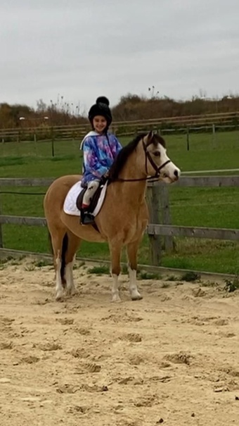 "Bryntwrog Emily (milly) " Dun Mare Lead Rein/First Ridden Pony