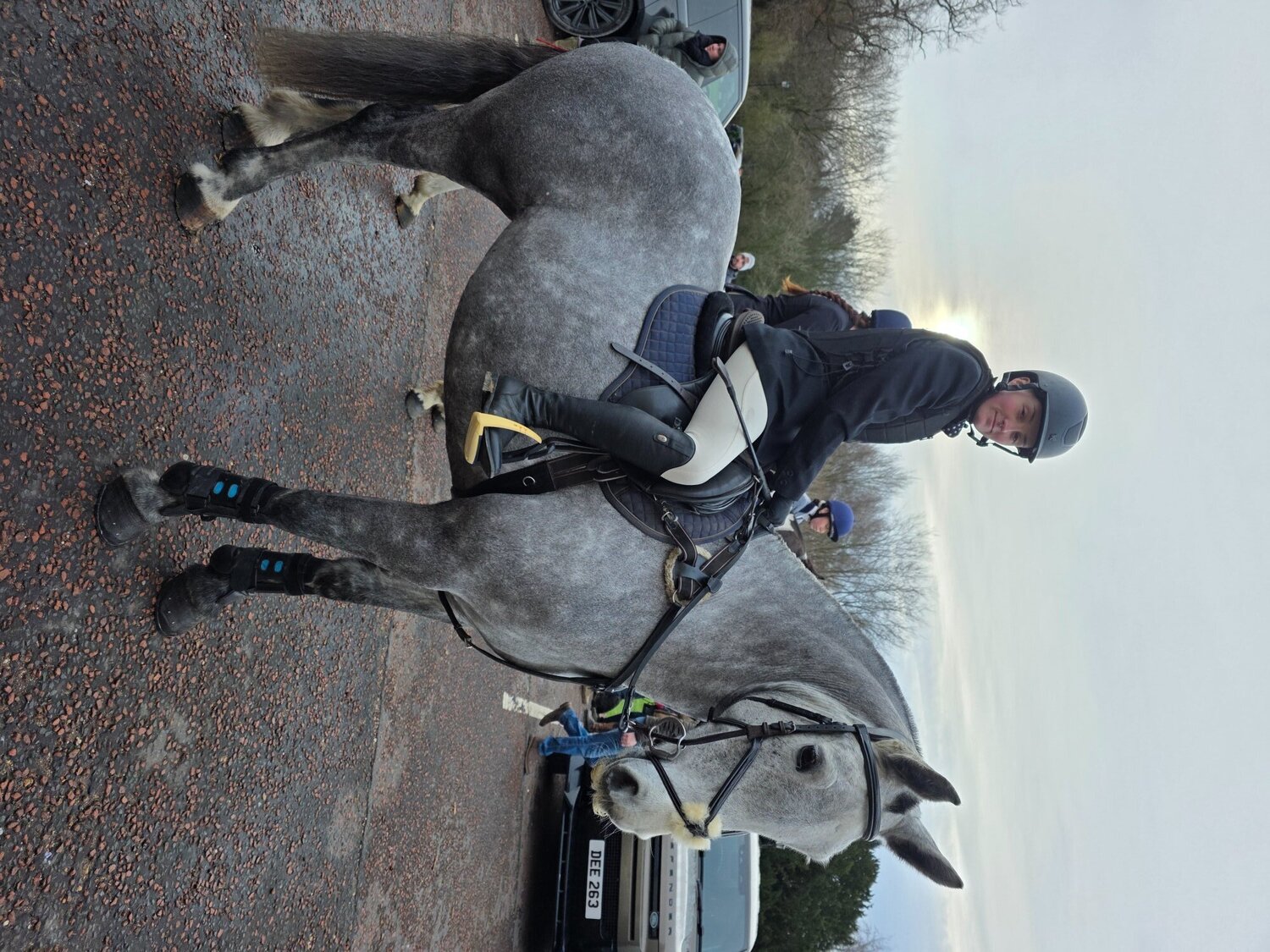 "Bella" Dapple Grey Mare All Rounder - All Rounders