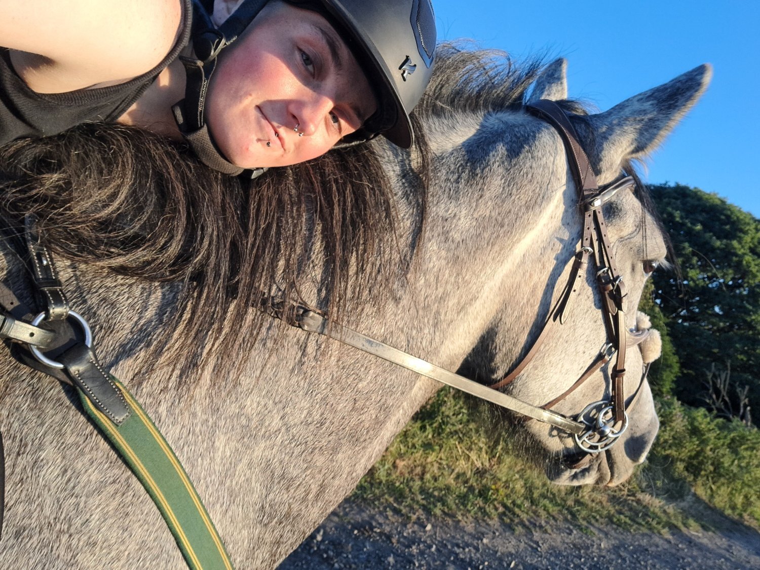"Bella" Dapple Grey Mare All Rounder