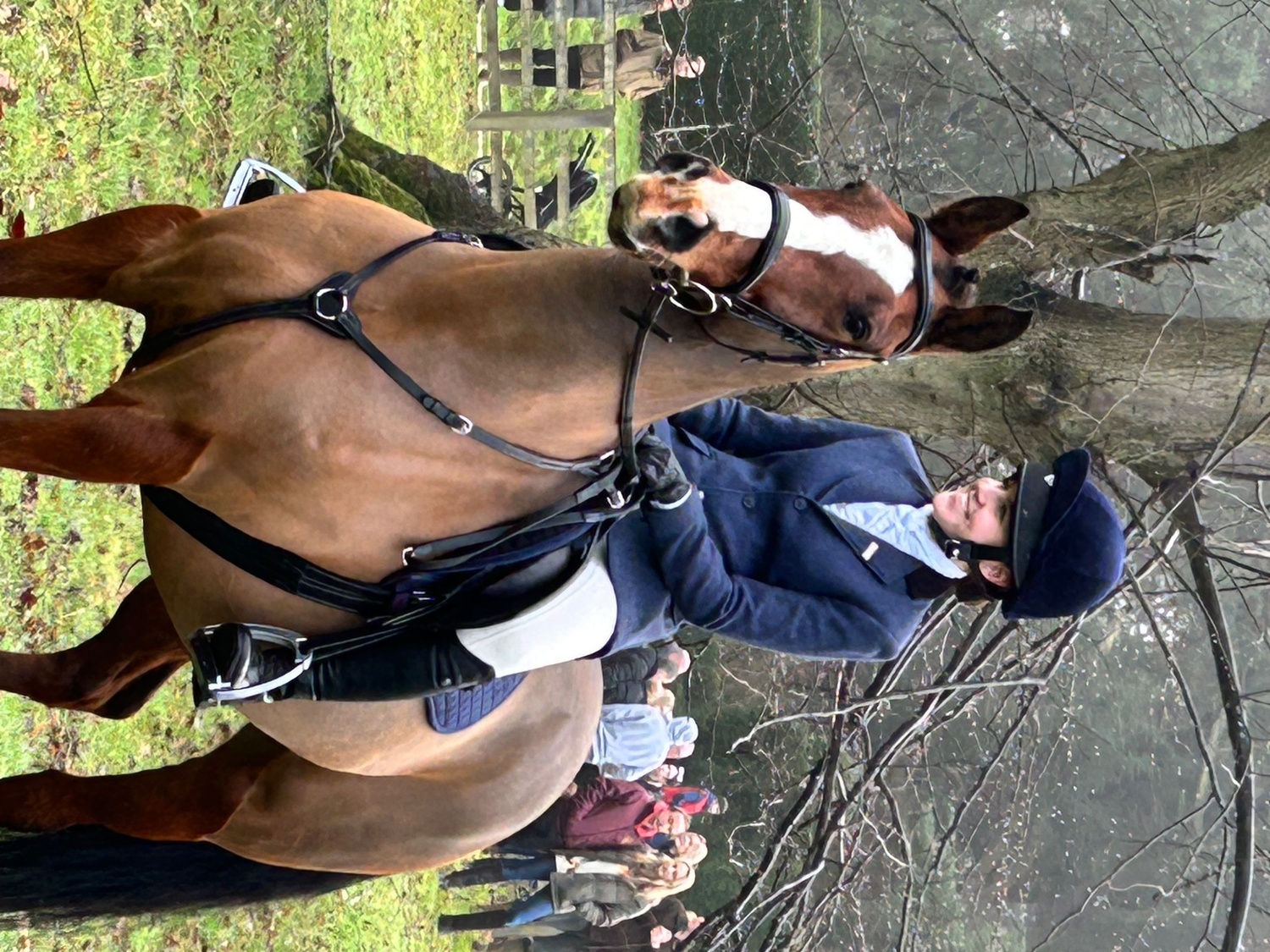 All Rounders  - "Bean" Bay Gelding All Rounder