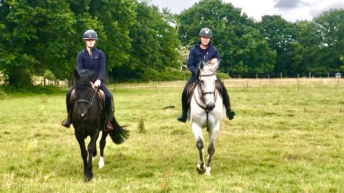 "Freckles" Fleabitten Grey Mare All Rounder - All Rounders