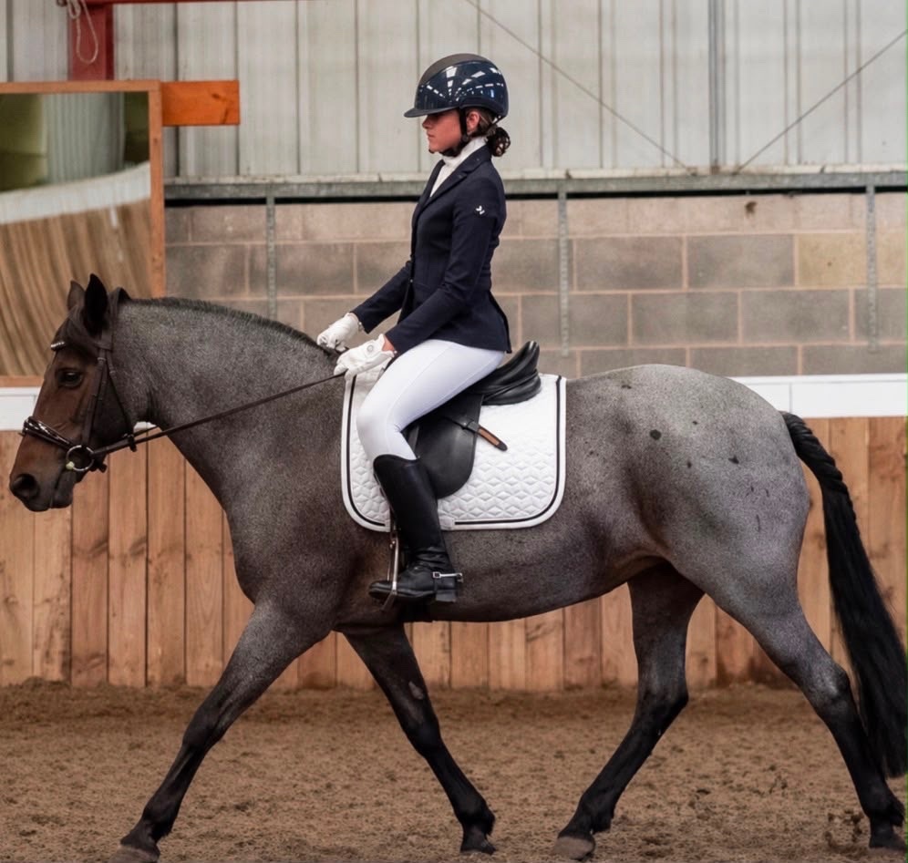 All Rounders  - "Sharnie" Roan Mare All Rounder