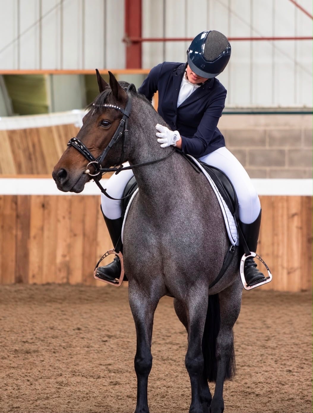 "Sharnie" Roan Mare All Rounder - 