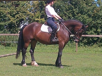 Part Loan / Share Wanted - Near Shrewsbury