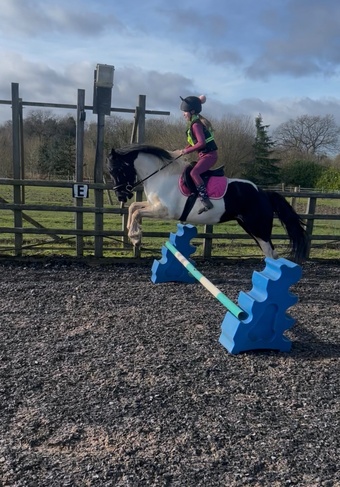 "Minnie" Coloured Mare Coloured