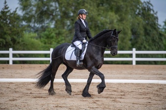 "Charlie girl" Black Mare All Rounder