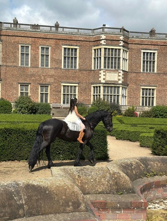 "Khaleesi" Black Mare Cob/Heavy Horse