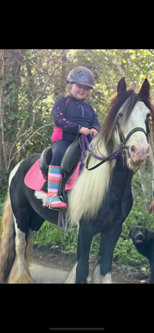 "Dottie" Piebald Mare Lead Rein/First Ridden Pony