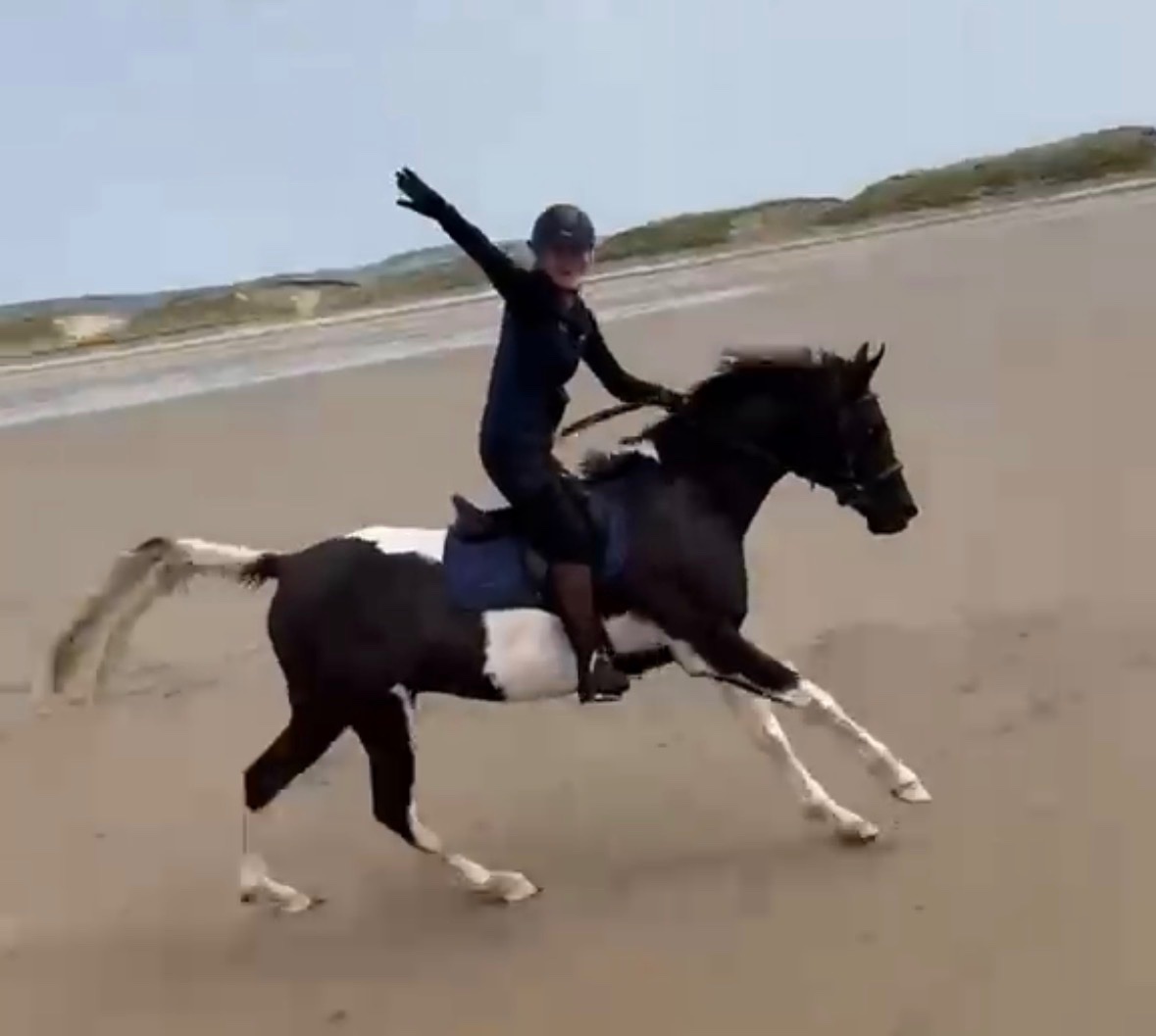 "SB Phinal Phenomenal ✨" Piebald Gelding All Rounder - All Rounders in 