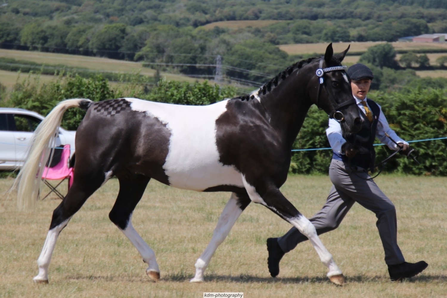 "SB Phinal Phenomenal ✨" Piebald Gelding All Rounder - All Rounders