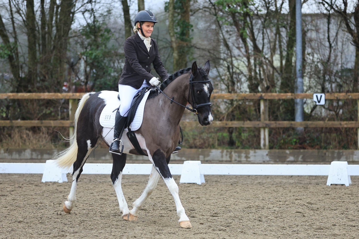 "SB Phinal Phenomenal ✨" Piebald Gelding All Rounder 