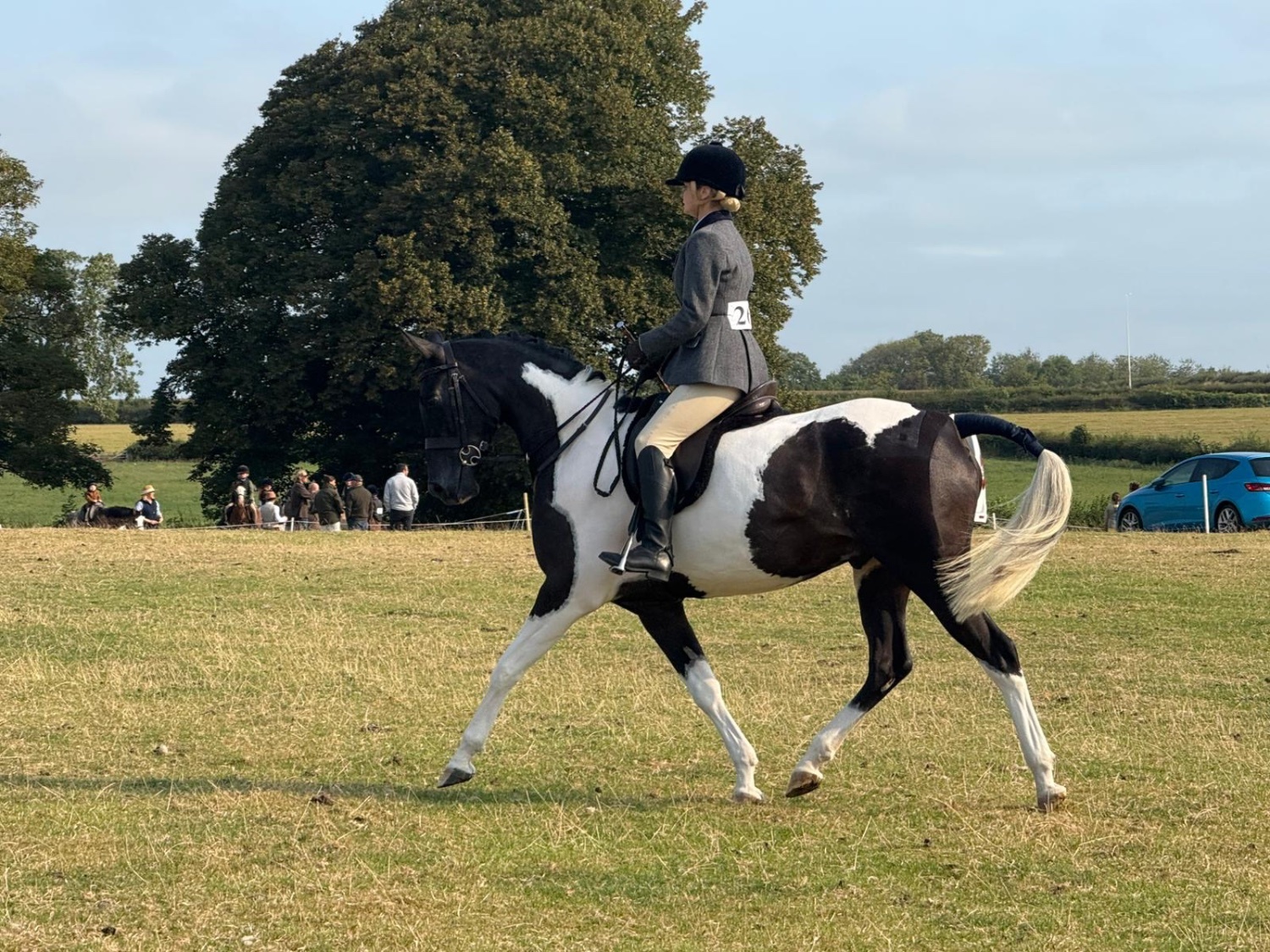 "SB Phinal Phenomenal ✨" Piebald Gelding All Rounder - All Rounders 