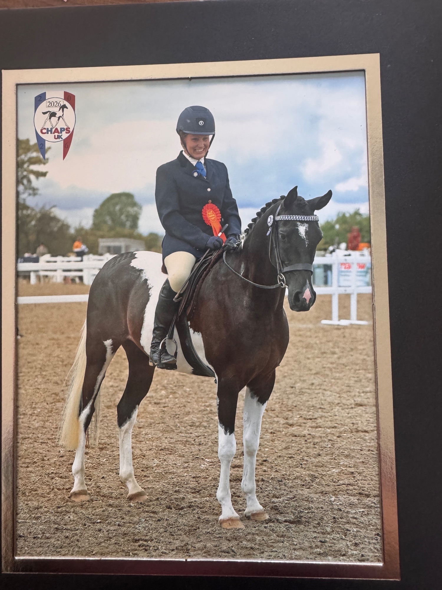  "SB Phinal Phenomenal ✨" Piebald Gelding All Rounder