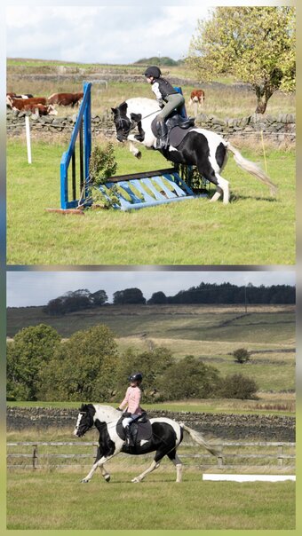 "Emma" Piebald Mare All Rounder