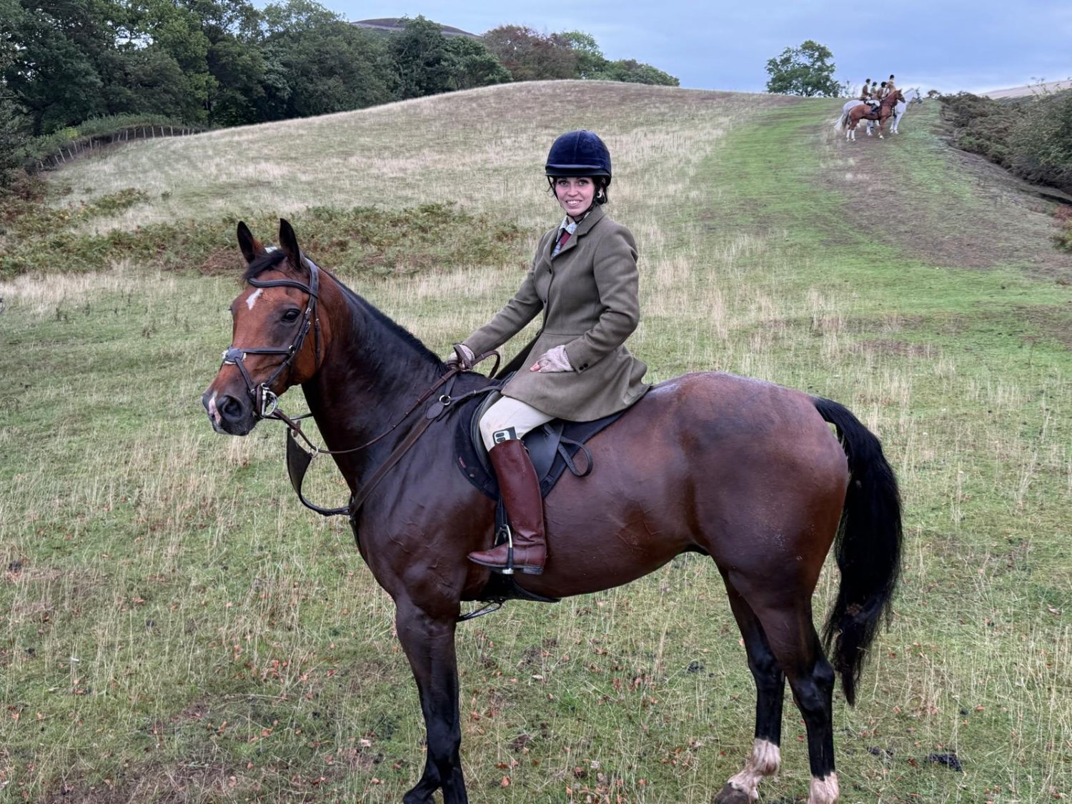 "Pinny" Bay Gelding All Rounder - 