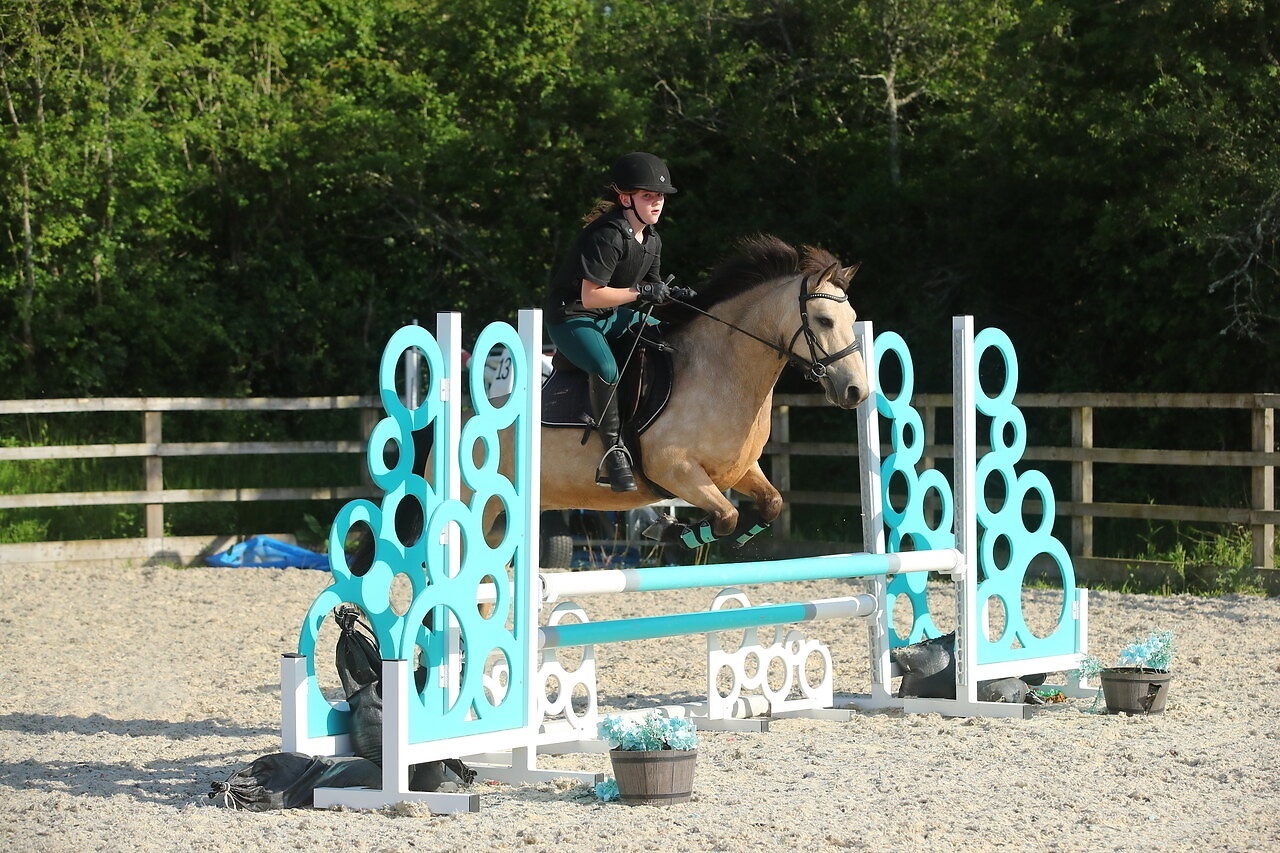 All Rounders  - "Dun Dancing" Dun Gelding All Rounder