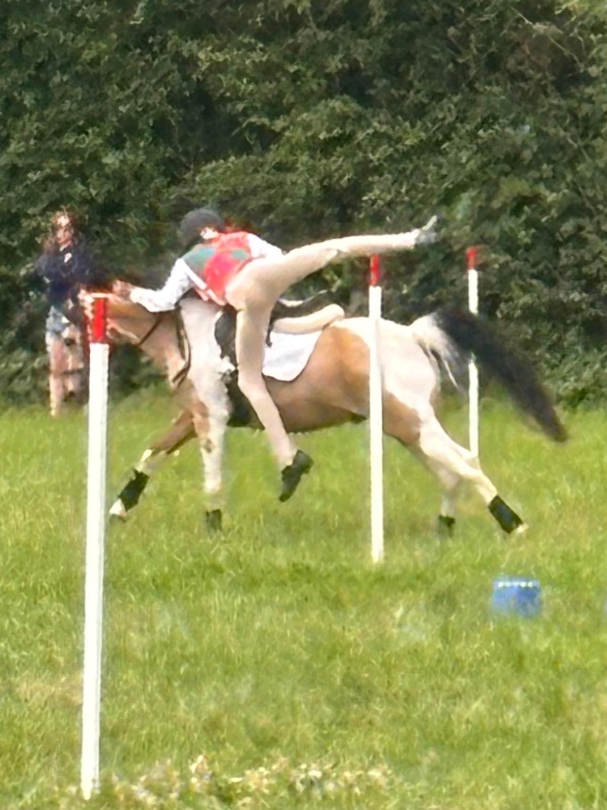  "Doylan Crunchy Biscuit" Coloured Gelding Pony Club Pony