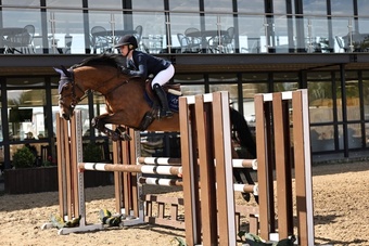 "Mable " Bay Mare All Rounder