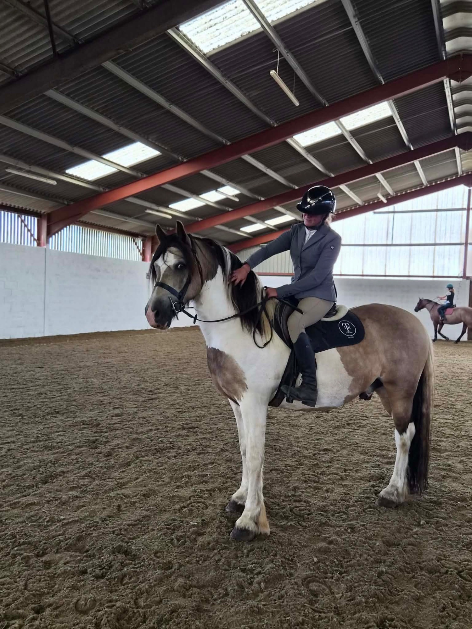  "BRYNITHON CANDY MAN aka Elvis" Tri-Coloured Gelding All Rounder