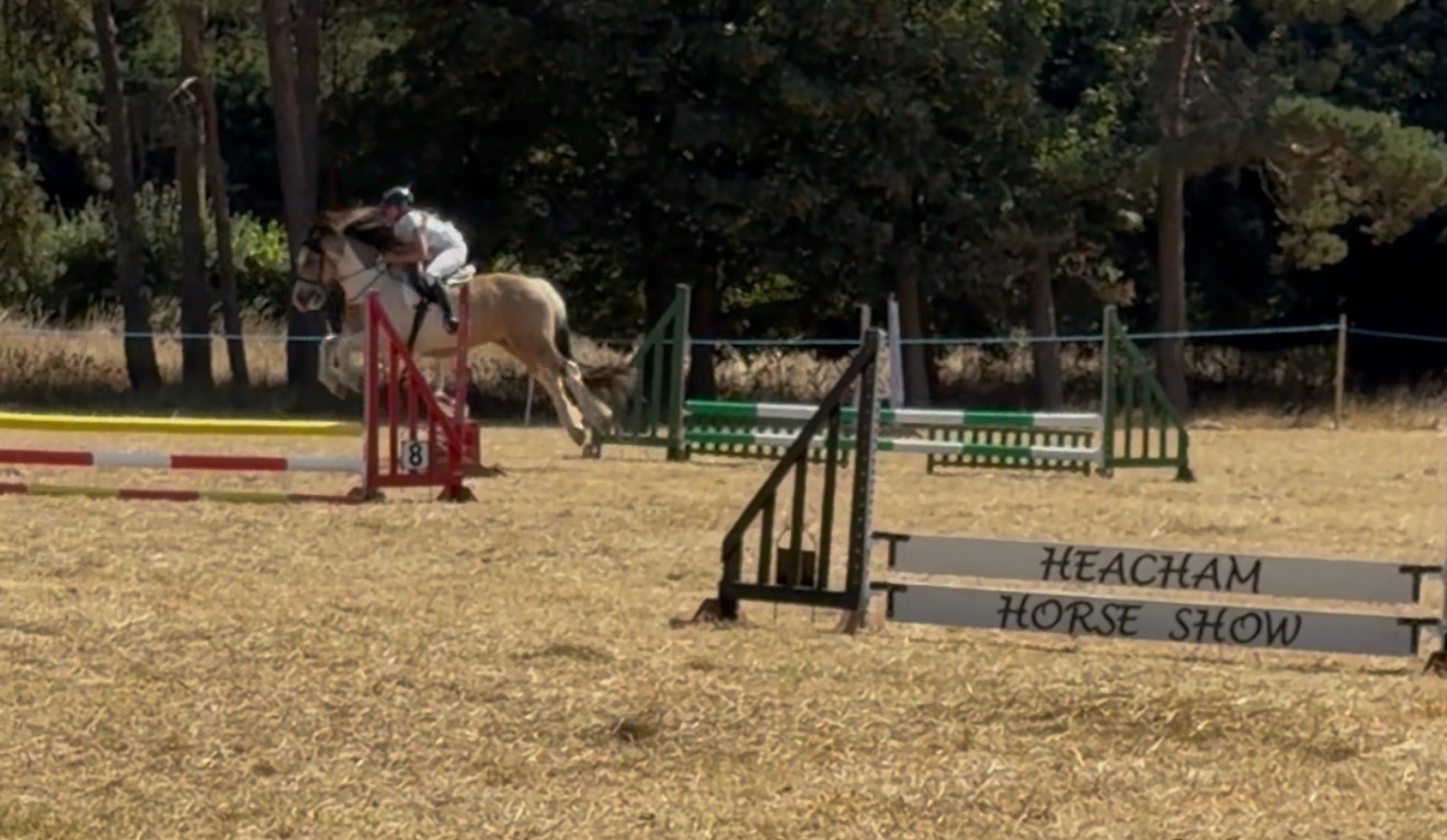 All Rounders - "BRYNITHON CANDY MAN aka Elvis" Tri-Coloured Gelding All Rounder in 