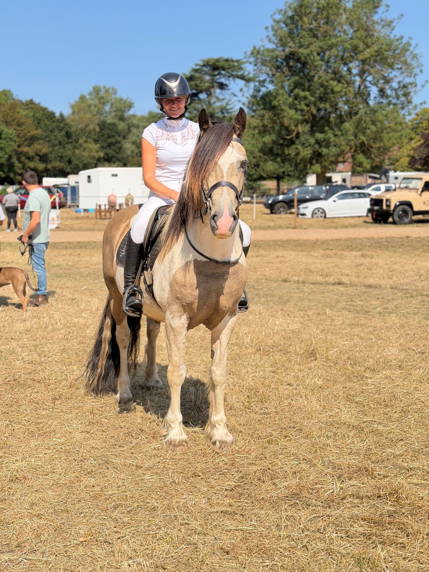 All Rounders  - "BRYNITHON CANDY MAN aka Elvis" Tri-Coloured Gelding All Rounder