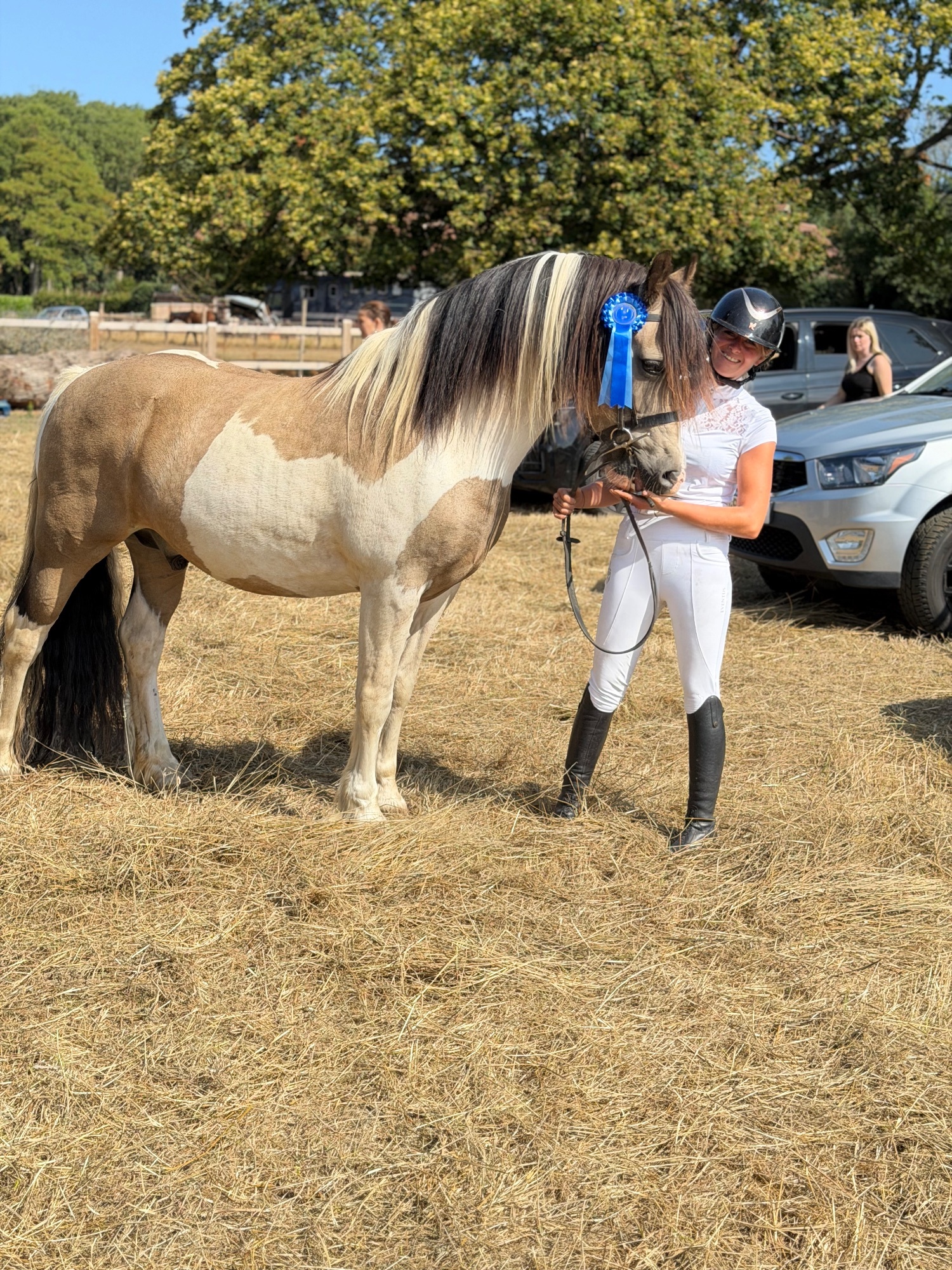 "BRYNITHON CANDY MAN aka Elvis" Tri-Coloured Gelding All Rounder - All Rounders 