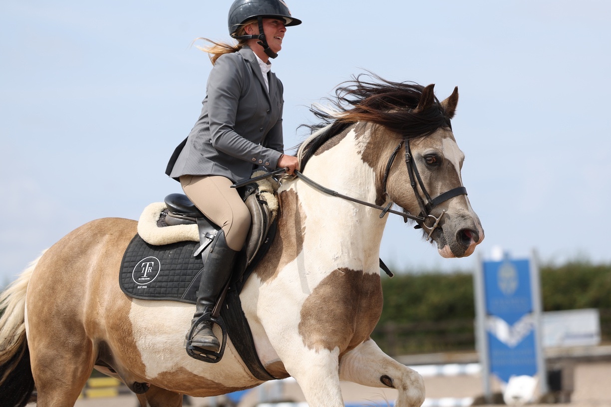 "BRYNITHON CANDY MAN aka Elvis" Tri-Coloured Gelding All Rounder - All Rounders