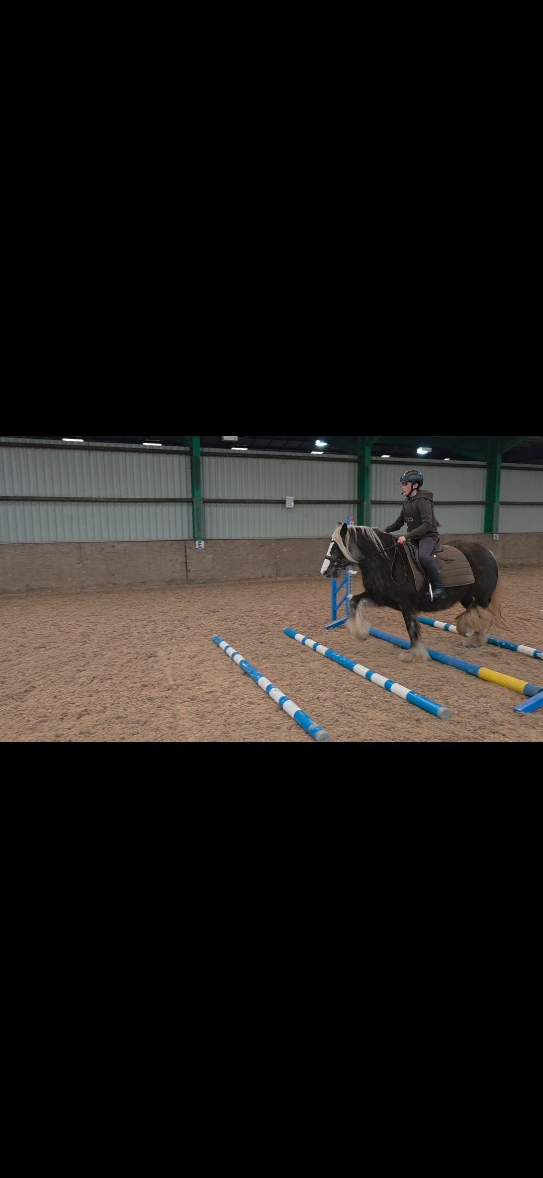"Lady" Silver Dun Mare All Rounder - All Rounders