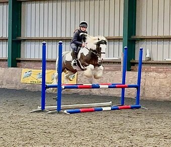"Ruby" Skewbald Mare All Rounder