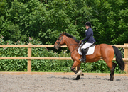 Mirrors for Training - Arena Mirrors - Fencing