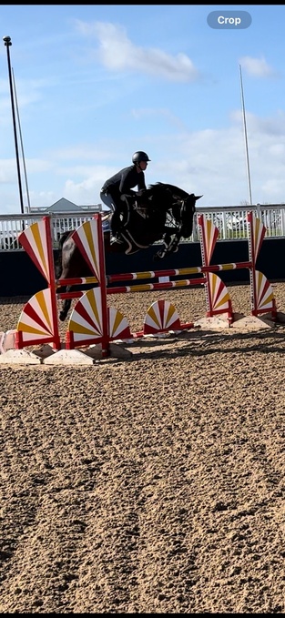 "" Black Mare Show Jumper