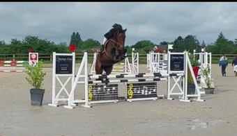 "" Mare All Rounder
