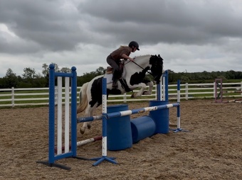 "Daisy" Piebald Filly All Rounder