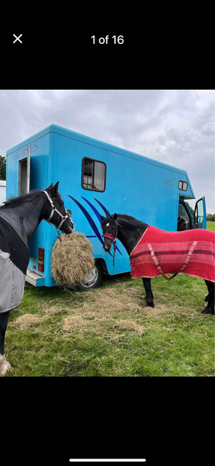 2010 Renault Master Horsebox