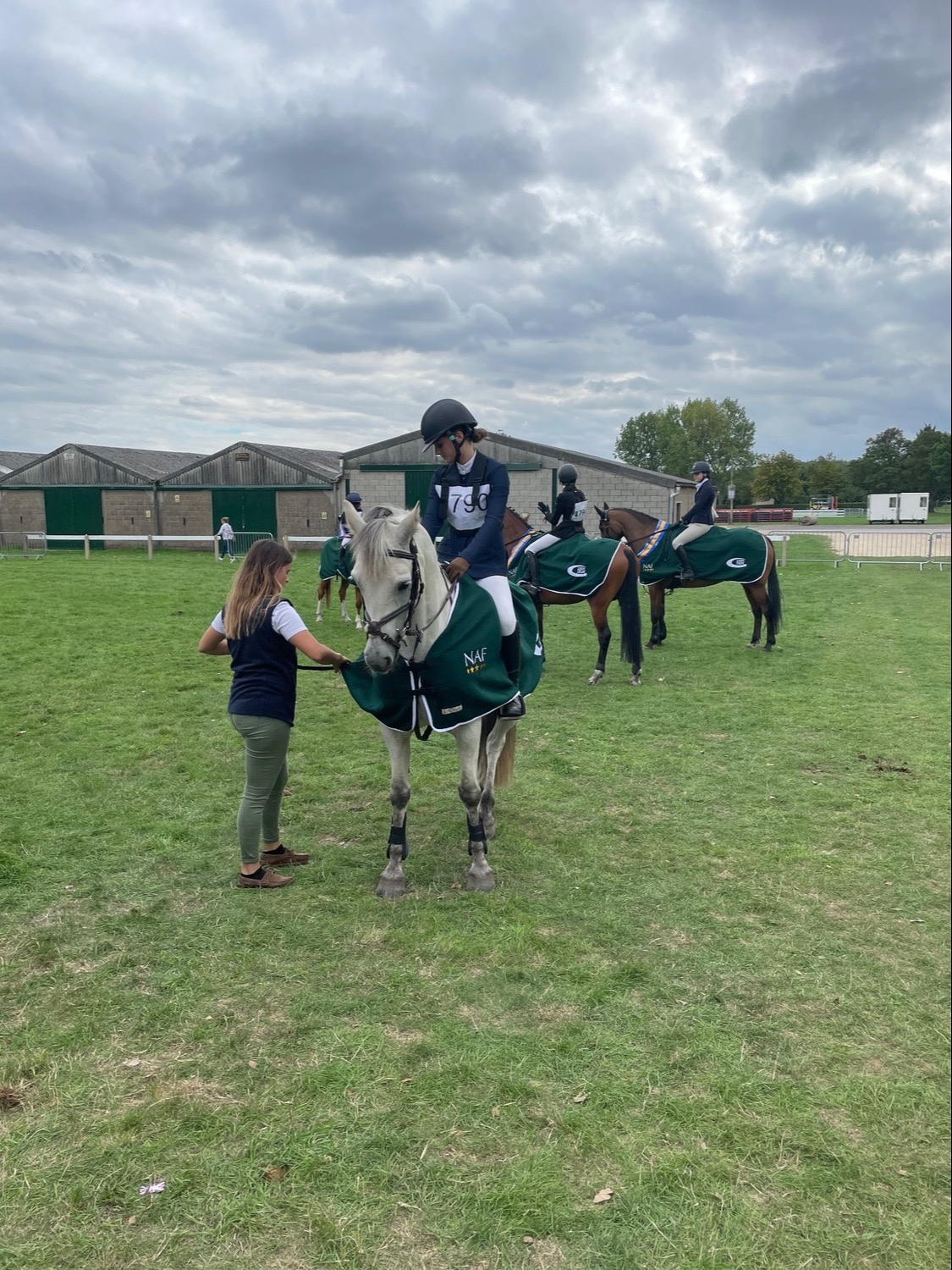 Show Jumpers  - "Prince Mac" Grey Gelding Show Jumper