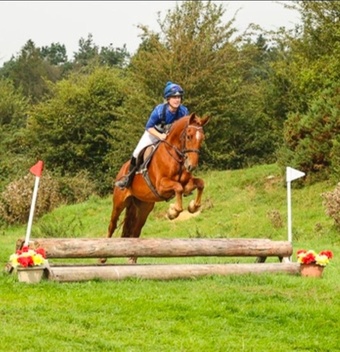 "Marley" Chestnut Mare All Rounder