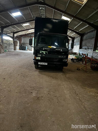DAF 45 Series Horsebox