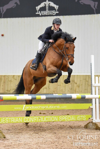 "Tennessee’s Tempest " Bay Gelding All Rounder